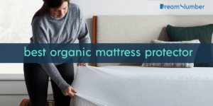 Best Organic Mattress Protector