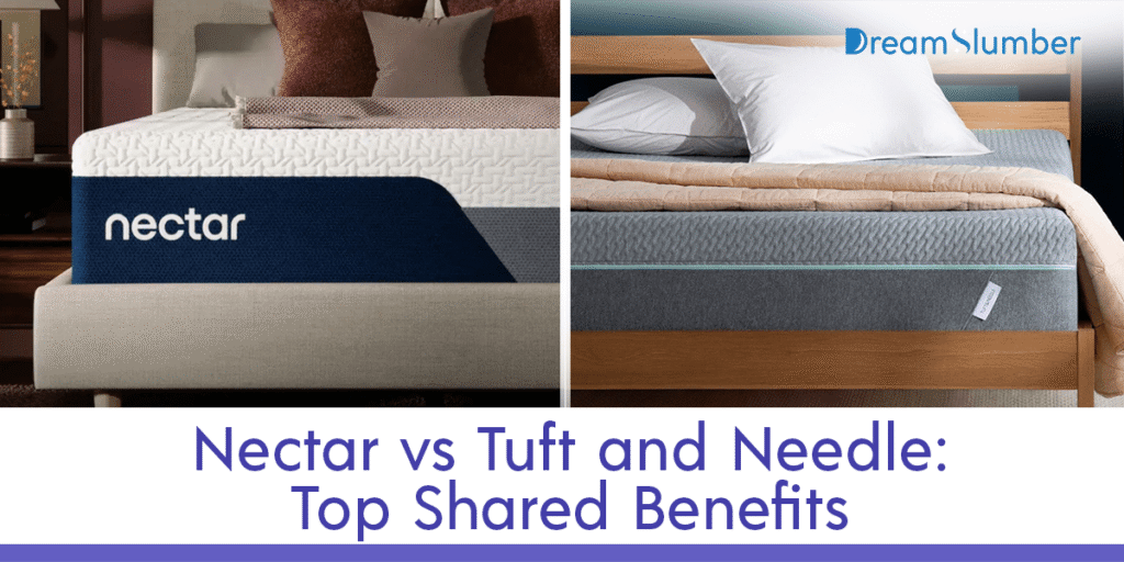 Nectar vs Tuft and Needle Mattress Comparison 7 Nectar vs Tuft and Needle Top Shared Benefits
