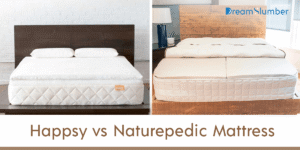 Happsy vs Naturepedic Mattress