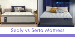 Sealy vs Serta Mattress