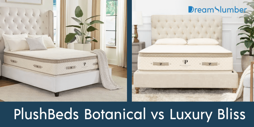 PlushBeds Botanical Bliss vs Luxury Bliss