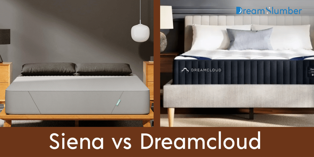 Siena vs Dreamcloud